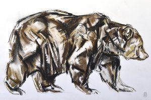 Ours brun marchant, 2012 - David Mayer
