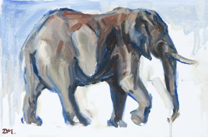 Éléphant mâle, 2018