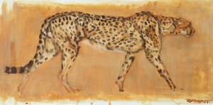 Guépard, 2022 - David Mayer