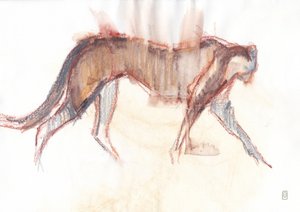 Chasse du guépard, 2019