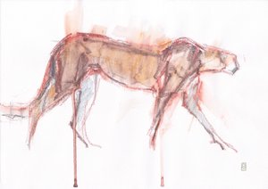 Chasse du guépard, 2019 - David Mayer