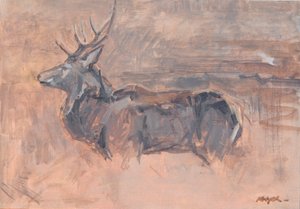 Cerf Rouge, 2023