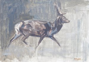 Cerf rouge courant, 2023