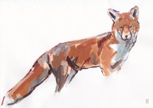 Renard roux, 2021 - David Mayer