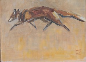 Renard rouge