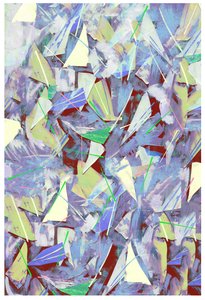 Éclats, éclats et aiguilles de pin, 2017 - David McConochie