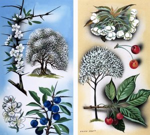 Toutes sortes d