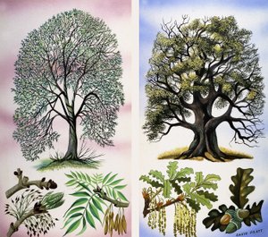 Des arbres visibles