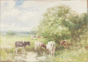 La piscine ombragée - David T. Robertson