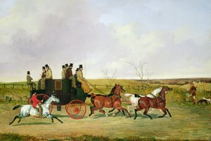 Cheval et Carrosse