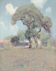 Paysage du Texas