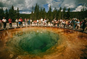 Les visiteurs du parc se rassemblent autour d