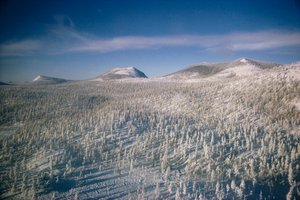 La Sibérie en hiver, paysage sur marais et forêts couvertes de neige
