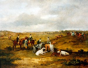 Course de lièvres