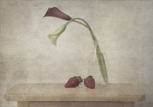 - Deborah Gugeri