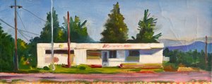Vacant sur Aurora - Deborah Stevenson