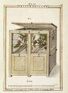 Coffre pour le transport des plantes, aquarelle de Delahaye