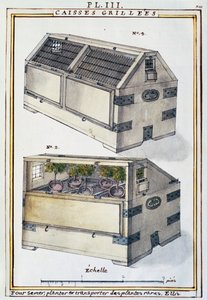Boîtes en bois pour transporter des plantes rares sur des navires par Delahaye, de Florindie ou Histoire physico-économique des Végétaux de la Torride - Delahaye Delahaye