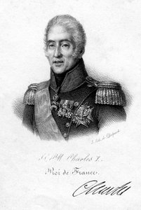 Charles X, roi de France, XIXe siècle