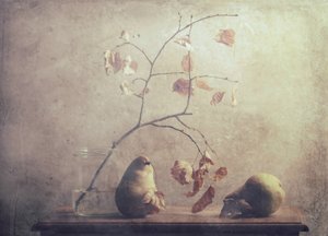  - Delphine Devos