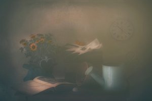  - Delphine Devos