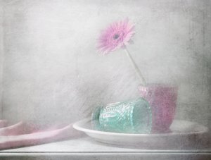  - Delphine Devos