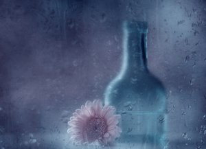 Gerbera « Dreamy Rainy » - Delphine Devos