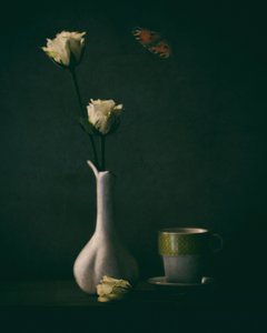 - Delphine Devos