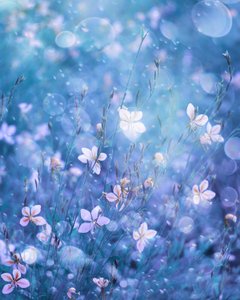  - Delphine Devos