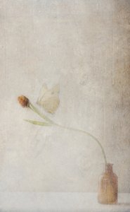  - Delphine Devos