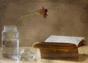 Fleur mélancolique et livre - Delphine Devos