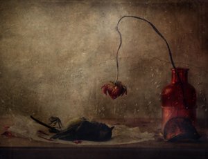  - Delphine Devos