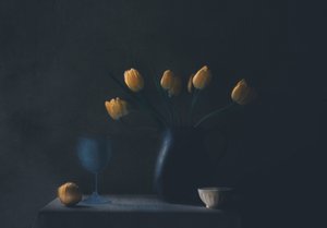  - Delphine Devos