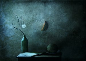  - Delphine Devos