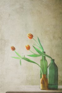  - Delphine Devos