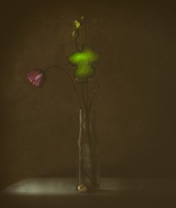  - Delphine Devos