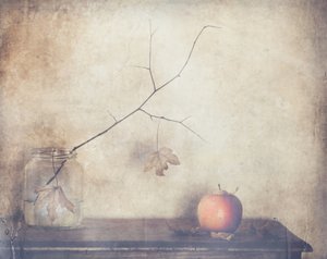  - Delphine Devos