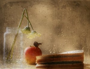 Un escargot sur une pomme un jour de pluie - Delphine Devos
