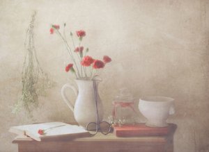  - Delphine Devos