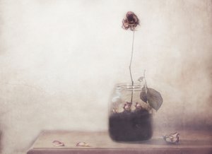  - Delphine Devos