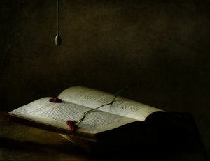  - Delphine Devos
