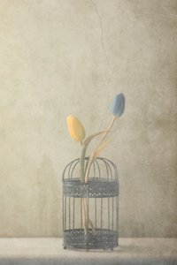  - Delphine Devos