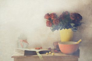  - Delphine Devos