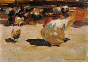 Cour de poules