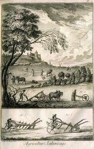 Travail des champs - Agriculture, semis, labourage. Divers modèles de rouleaux et charrues : Planche d