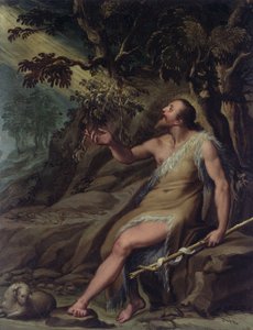 Saint Jean-Baptiste dans le désert