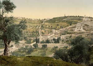 Mont des Oliviers et Gethsémani, vue générale, Jérusalem, c.1890-c.1900 - Detroit Photographic Co.
