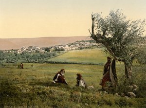 Vue générale, Cana de Galilée, Terre Sainte, vers 1890-1900 (tirage photochrome) - Detroit Publishing Co.