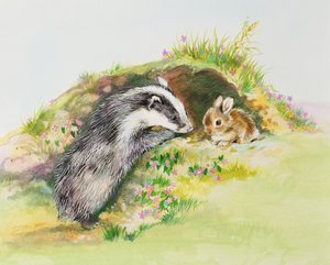 Blaireau et un lapin