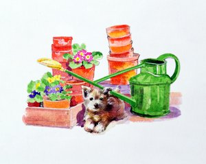 Terrier parmi des pots en terre cuite